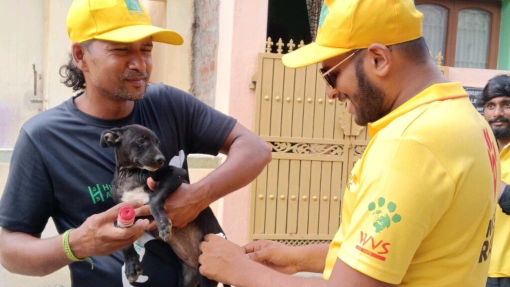 A glimpse from a vaccination drive