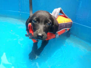 Simran Getting Hydrotherapy Treatment