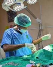Spay Surgery in Progress