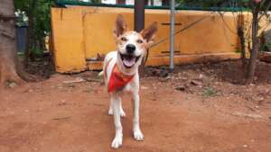 Venba - From Hurt to Healed