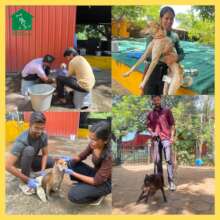 Volunteering Event by Students