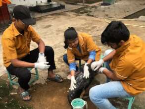 Administering Medicated Bath