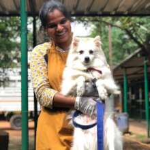 Blind Pet Whitey - From Hurt to Healed