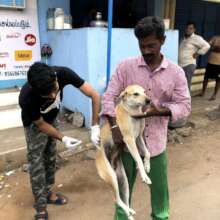 Anti-Rabies Vaccination Drive