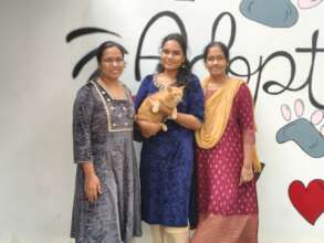 Samurai gets his forever home