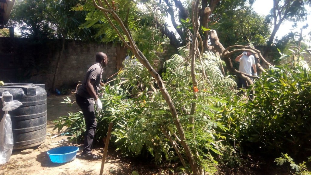 The Utange Community Garden