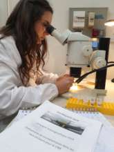 Grad student Valeria analysing arctic sea samples