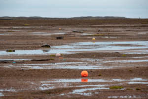 Plastic beach in the Hgh Arctic (81N)