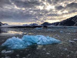 In a Fjord south of Svalbard,  by Safiria Buono