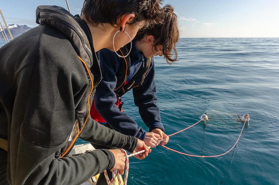 Polar expedition to free the oceans from plastic
