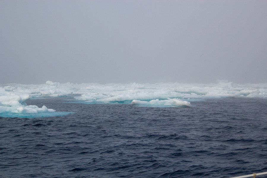 Polar expedition to free the oceans from plastic