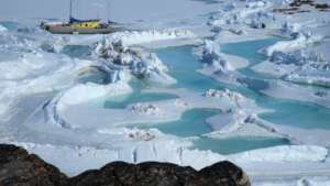 Nanuq during spring 2016 in Greenland