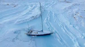 A winter in Greenland's ice for Nanuq