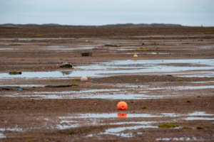 Plastic on the remotest beach