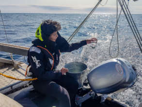 Sampling microplastic with bottle