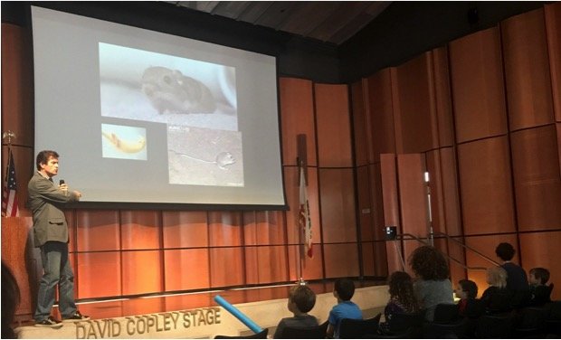 Reducing Demand for Rhino Horn in the USA
