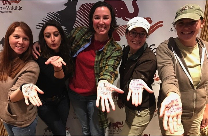 Reducing Demand for Rhino Horn in the USA