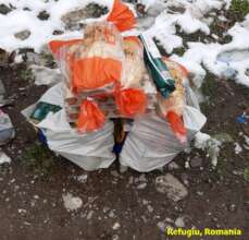 Food supplies at Refugiu, Romania