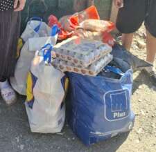 Food programme, Refugiu, Romania