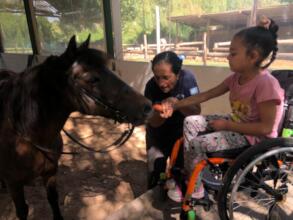 Horse-assisted therapy session in Argentina