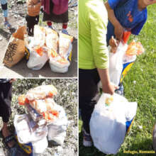 Food supplies at Refugiu, Romania
