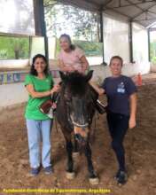 Horse-assisted therapy session at FCDE, Argentina
