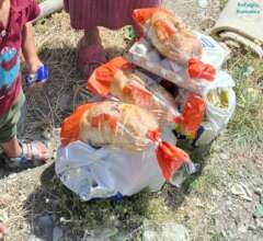 Food supplies for a family at Refugiu, Romania