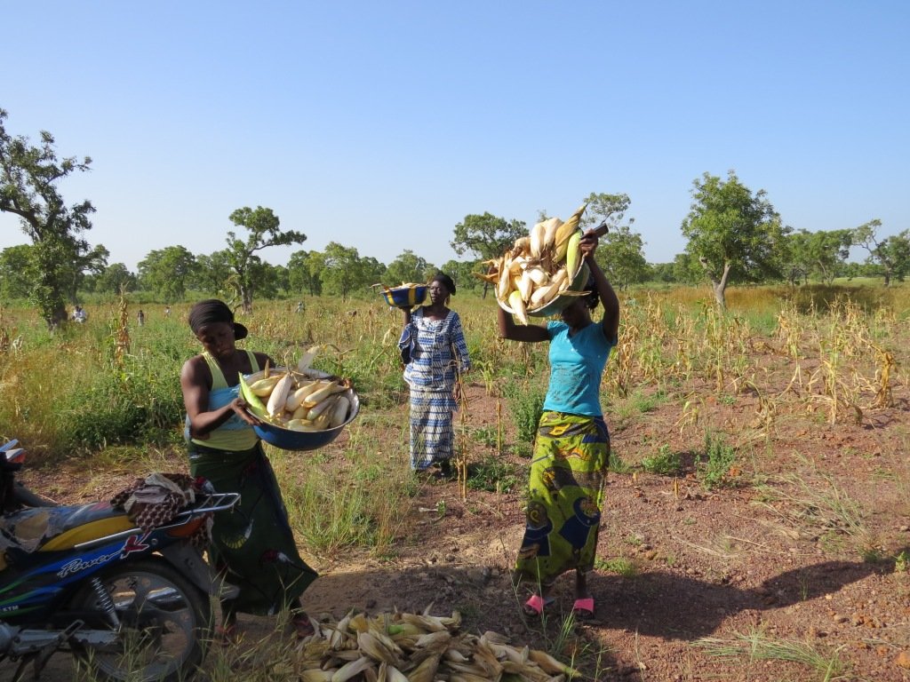 Drill 2 wells for 186 women farmers in Mali