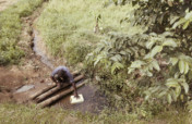 Rain Water Collection Tanks-Lweza, Uganda