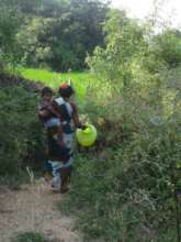 Woman Walking to Fetch Water from Drainage Ditch