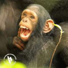Baby Wendy, 2 years, named for BWF's Founding Dir.