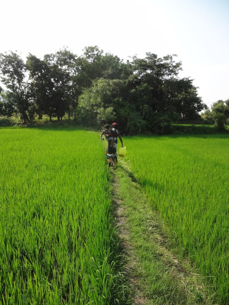 Bring Clean Water Wells to 6 Villages in India