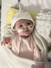 Baby Ada