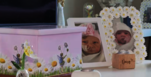 In memory of Daisy