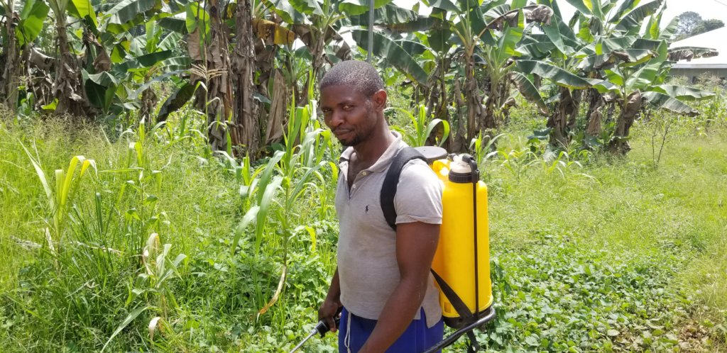 Provide Agriculture Funds for 300 Youths Cameroon