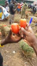 Sandaga Market