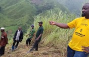Provide Agriculture Funds for 300 Youths Cameroon