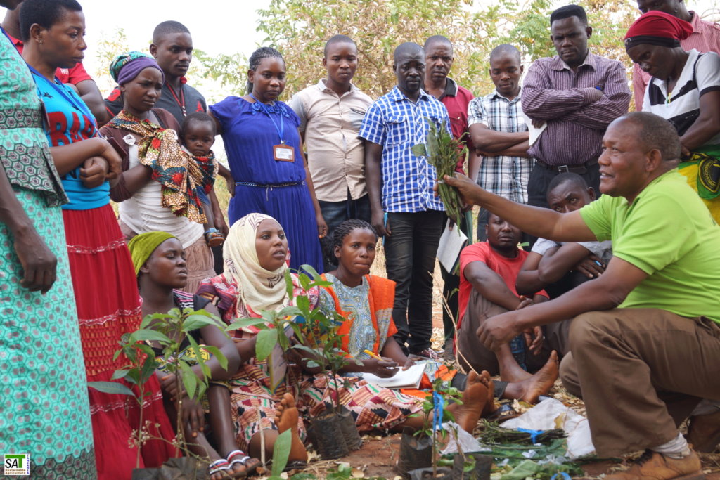 Organic Farming for Small Farmers in Tanzania