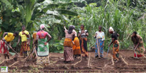 Farmers Field School