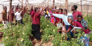 Youth Empowerment