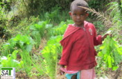 Organic Farming for Small Farmers in Tanzania