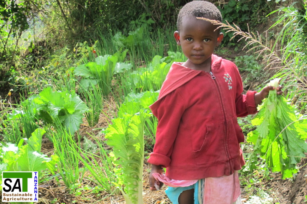 Organic Farming for Small Farmers in Tanzania