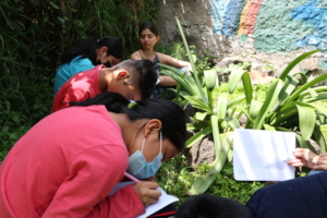 learning activities and coexistence among students