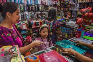 Choosing the school materials to be used