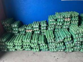 So. Many. Eggs!