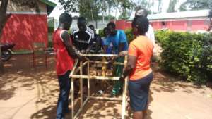 building the greenhouse