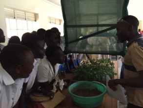 Students explaining low cost greenhouse