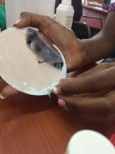 Designing solar cell technology
