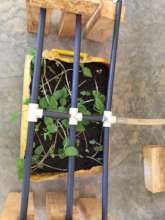 Drip irrigation system