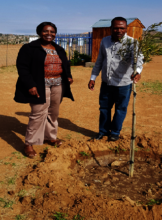 PfP Partners planting a tree